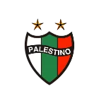 CD Palestino - bestfootballkits