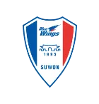 Suwon Samsung Bluewings - bestfootballkits