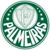 SE Palmeiras - bestfootballkits