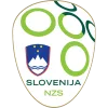 Slovenia - bestfootballkits