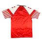 Denmark Classic Football Shirt Home 1992 - bestfootballkits