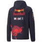Oracle Red Bull F1 Racing Team Hooded Sweat 2022 - bestfootballkits