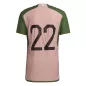 Authentic Japan Football Shirt 2022 - Special Edition - bestfootballkits