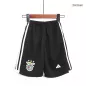 Benfica Football Kit (Shirt+Shorts) Away 2023/24 - bestfootballkits