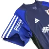 Japan Football Shirt Pre-Match 2023/24 - bestfootballkits