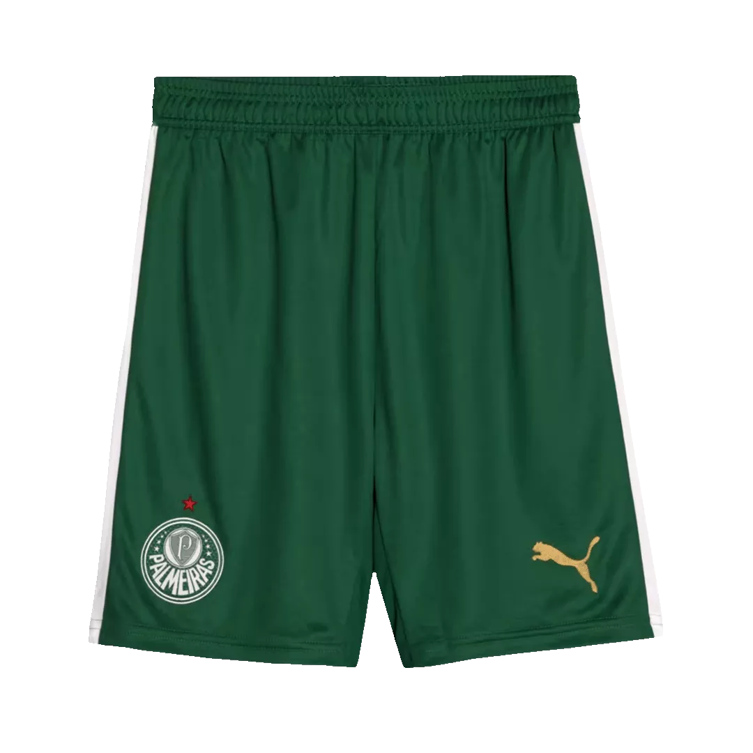SE Palmeiras Football Shorts Away 2024/25
