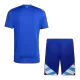 Argentina Football Kit (Shirt+Shorts) Away 2024 - bestfootballkits