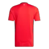 Wales Football Shirt Home 2024 - bestfootballkits