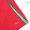 Wales Football Shirt Home 2024 - bestfootballkits