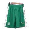 SE Palmeiras Football Shorts Away 2024/25 - bestfootballkits