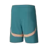 Manchester City Football Shorts Fourth Away 2024/25 - UCL - bestfootballkits