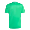 Manchester United Shirt Goalkeeper 2025/26 - bestfootballkits