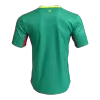Senegal Soccer Away Jersey 2026 Green - bestfootballkits