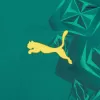Senegal Away Soccer Jersey World Cup 2026 Green - bestfootballkits