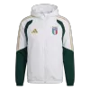 Italy Hoodie Training Jacket 2026 - bestfootballkits