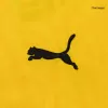 Borussia Dortmund Home Soccer Jersey 26/27 Yellow - bestfootballkits