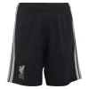 Liverpool Third Soccer Jersey Kit (Jersey+Shorts) 2026/27 Red - bestfootballkits